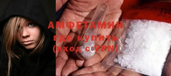 шишки Новодвинск