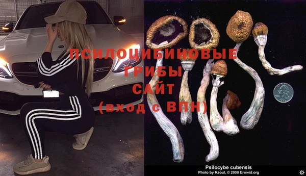 гашик Алзамай