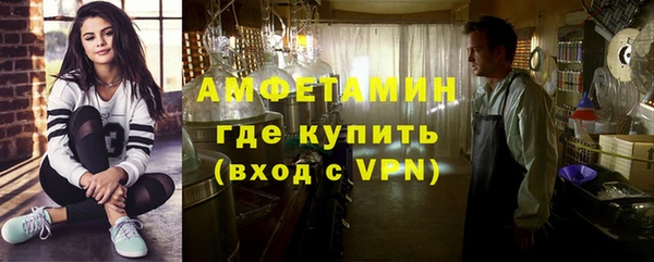 шишки Новодвинск